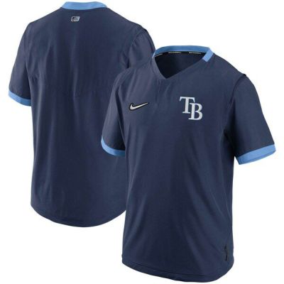 Jake McGee MLB 実使用 支給品 グラブ USA NIKE 激レア