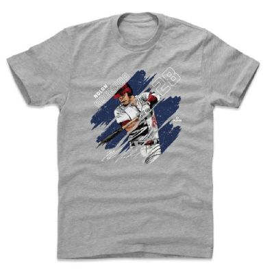 ノーラン・アレナド Tシャツ MLB カージナルス Stripes T-Shirt 500Level ヘザーグレー