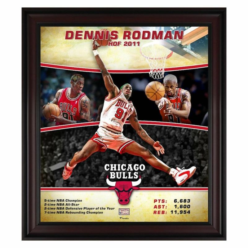 NBA デニス・ロッドマン シカゴ・ブルズ グッズ オーセンティック ハードウッドクラシック プレイヤー 記念 盾 Fanatics  Authentic | セレクション | MLB NBA NFL プロ野球グッズ専門店 公式オンラインストア