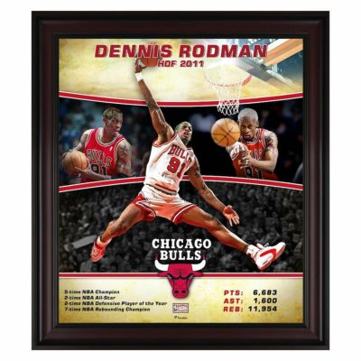 NBA デニス・ロッドマン シカゴ・ブルズ グッズ オーセンティック ハードウッドクラシック プレイヤー 記念 盾 Fanatics Authentic