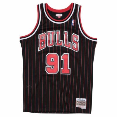 NBA デニス・ロッドマン シカゴ・ブルズ ユニフォーム スウィングマン オルタネイト 1995-96 ミッチェル＆ネス/Mitchell & Ness
