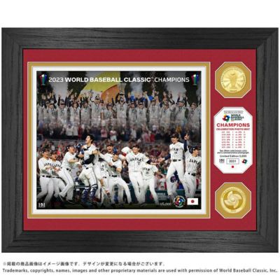 2023 WBC 大谷翔平選手(投手)ダブルコインフォトミント シリアル 