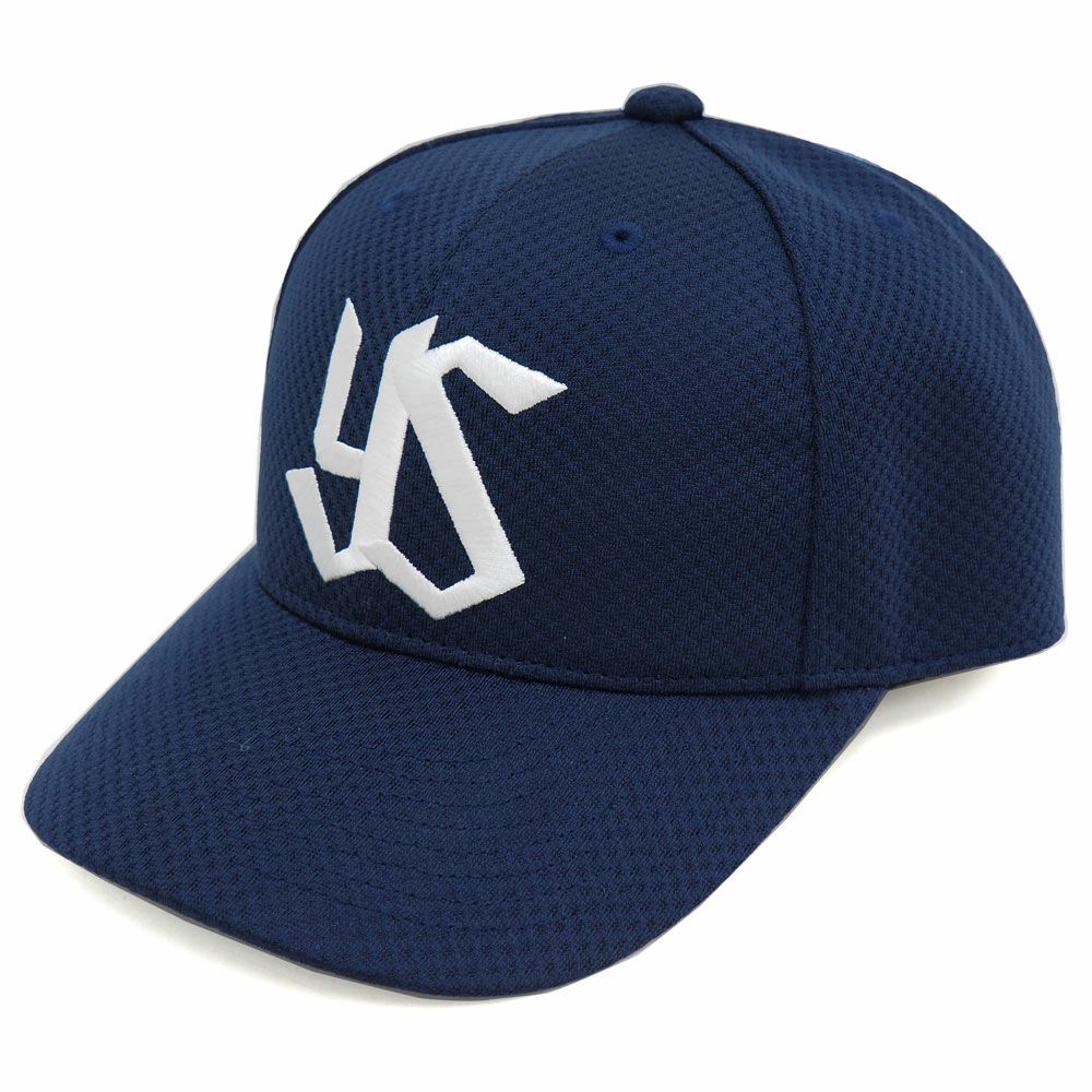 プロ野球 グッズ | セレクション公式オンライン通販ストア