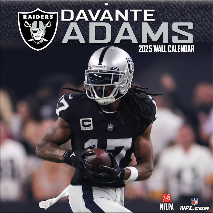 カッティング ステッカー】 NFL フットボール レイダース RAIDERS 穿こ