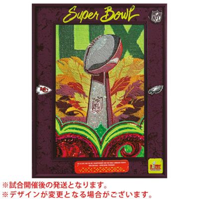 NFL チーフス vs イーグルス 第59回スーパーボウル 進出 公式プログラム ニューオリンズ Program