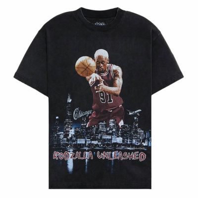 scottie pippen AUTO サイン　ピッペン　　TOPPS SCOTTIE PIPPEN 1997-98 TOPPS FRONT COURT FINESSE CHICAGO BULLS #12