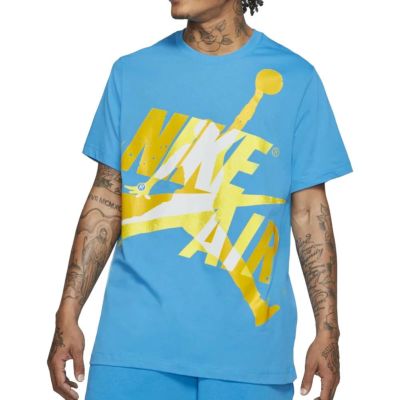 JORDAN カーメロ・アンソニー Tシャツ Jordan Dri-Fit Melo Destiny T